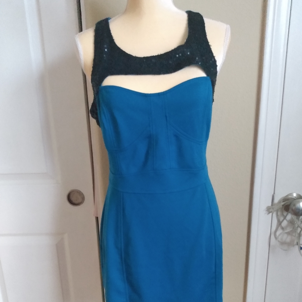 INA Dress NEW SIZE L
